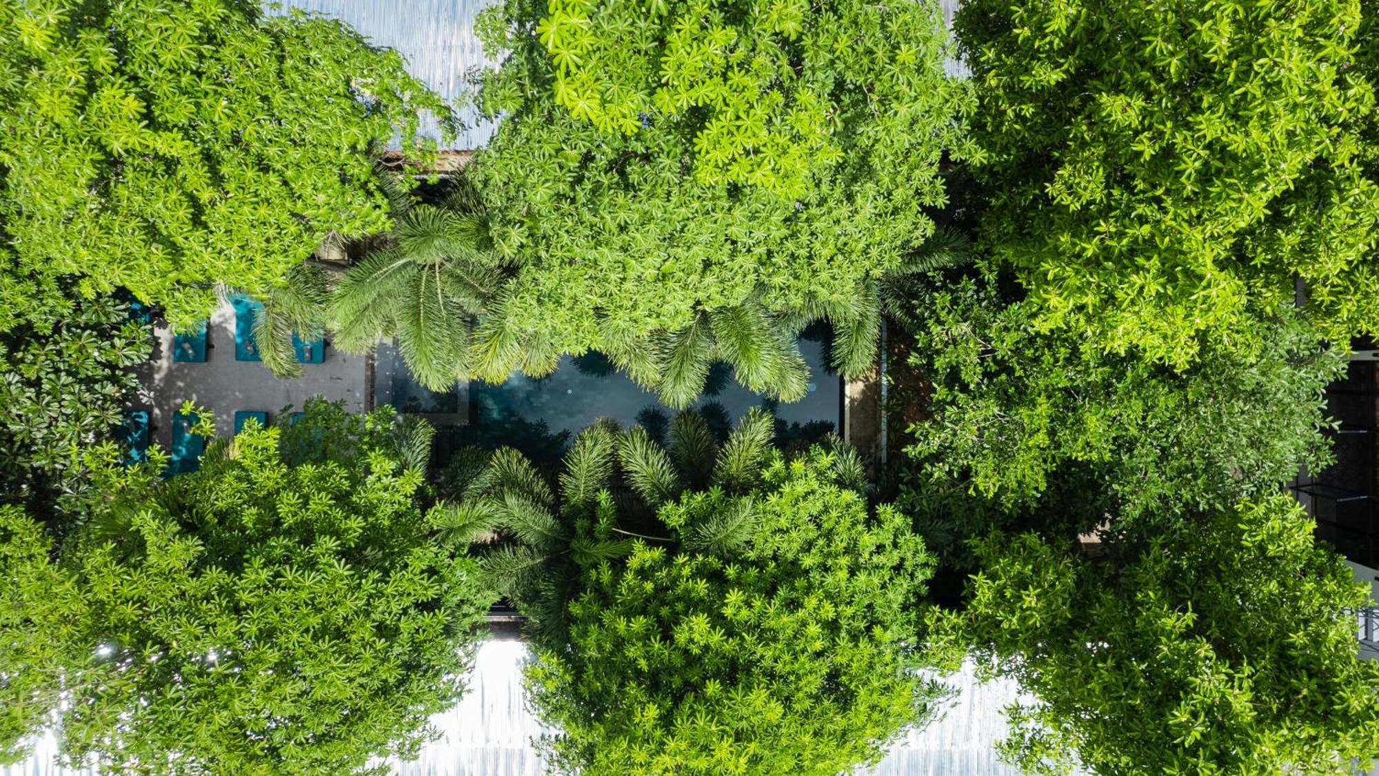 Tunnel Urban Retreat Ξενοδοχείο Σιέμ Ρέαπ Εξωτερικό φωτογραφία